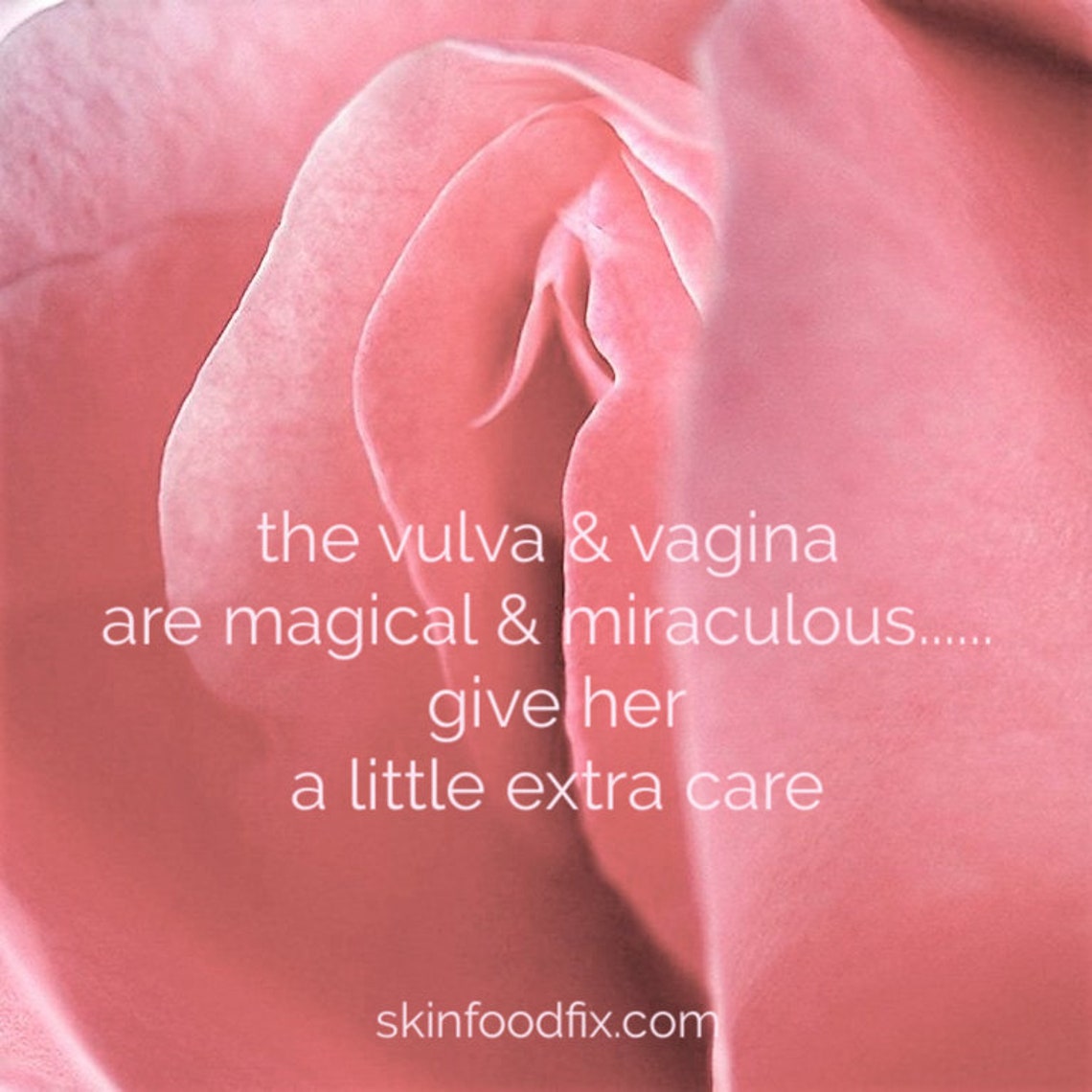 Wet Wap Pills Vagina is Dry Slippery Elm Herb Self Care Etsy