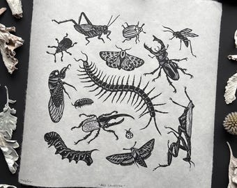 BUG COLLECTOR | Lino Print | Insects, Creepy Crawlies, Moths & Beetles