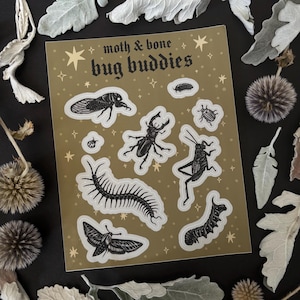 May include: A sticker sheet with a gold background featuring black insect illustrations and the text "moth & bone bug buddies". The sheet includes a cicada, a stag beetle, a centipede, a moth, a caterpillar, a grasshopper, a ladybug, and a small larva.