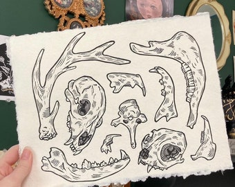 BONE COLLECTOR | Lino Print | Skulls, Jawbones & Antler