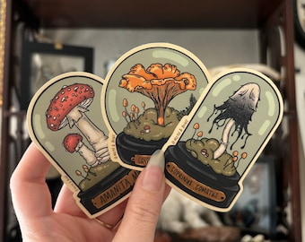 VINYL STICKERS | Mycology Sticker Pack | Amanita, Chanterelle, Inkcap Mushrooms