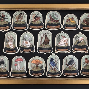 May include: A framed collection of stickers, each depicting a different specimen inside a glass dome. The stickers feature various insects, plants, and animal remains, such as skulls and a bat, with scientific names below. The frame is gold.