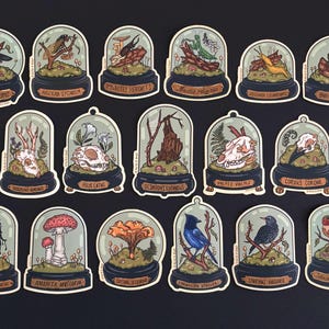 VINYL STICKERS  | 2.5- 3&quot; | Curio Dome, Oddities & Skulls | Matte Finish