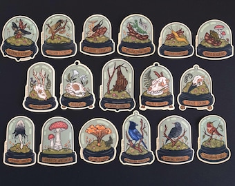 VINYL STICKERS  | 2.5- 3" | Curio Dome, Oddities & Skulls | Matte Finish