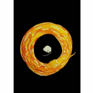 Puede incluir: Una serpiente amarilla y naranja enroscada en un círculo, formando una forma de anillo. La serpiente está sobre un fondo negro.