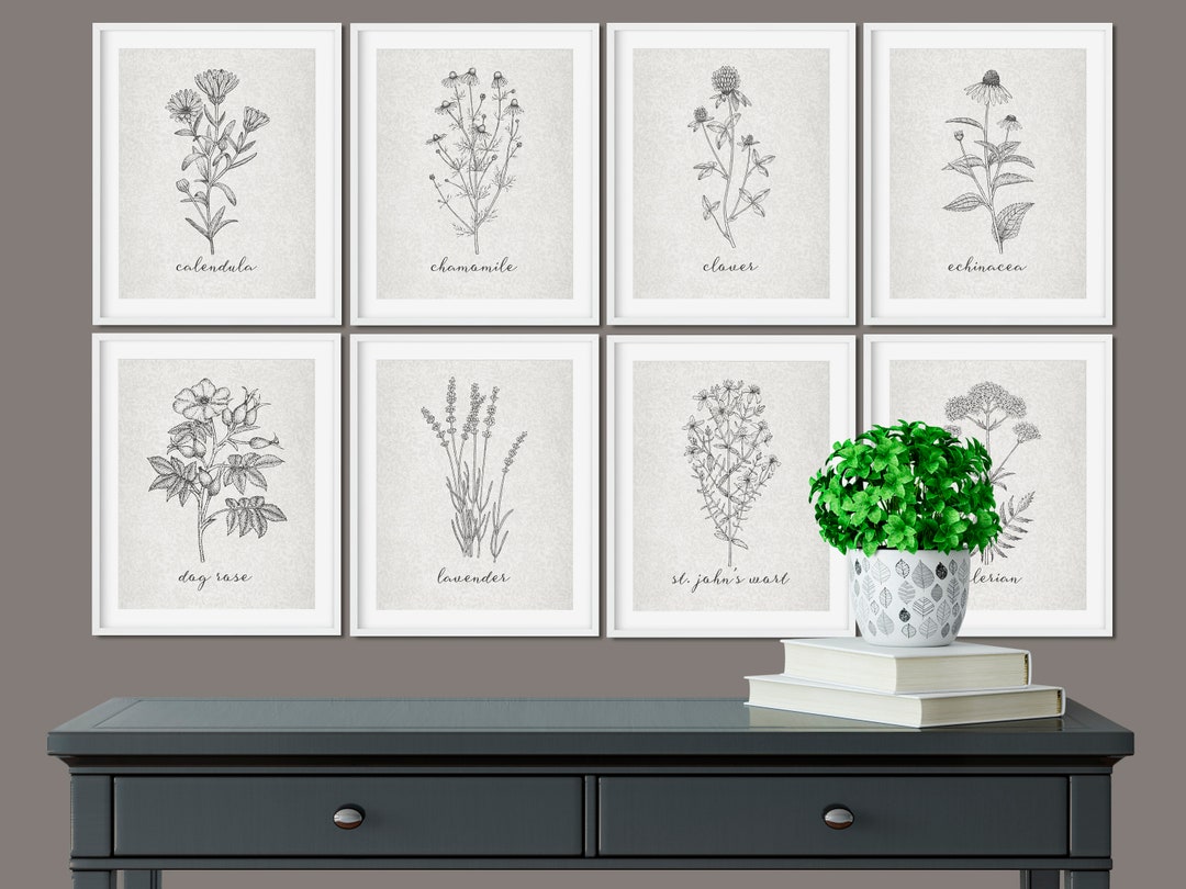 Set of 8 Botanical Printables Botanical Art Farmhouse Art - Etsy