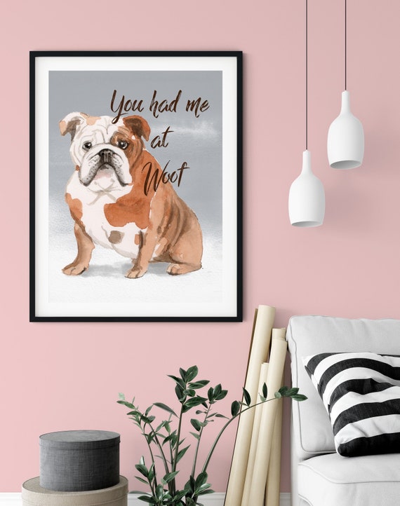 english bulldog vet near me