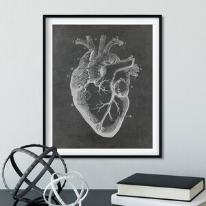 Human Heart Anatomy Printable Cardiology Office Art Black | Etsy