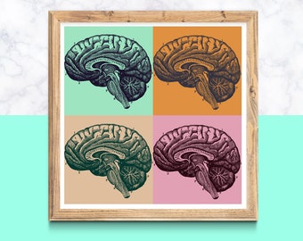 May include: A square framed wall art print featuring four quadrants, each displaying a detailed anatomical illustration of a human brain in profile. The backgrounds are coloured in mint green, orange, beige, and pink, with dark brain sketches.