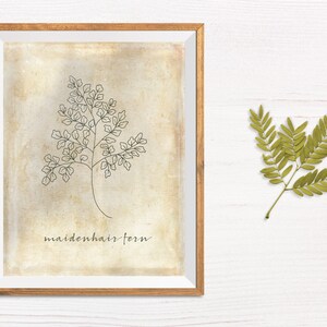Set of 6 Botanical Printables Botanical Art Farmhouse Art | Etsy