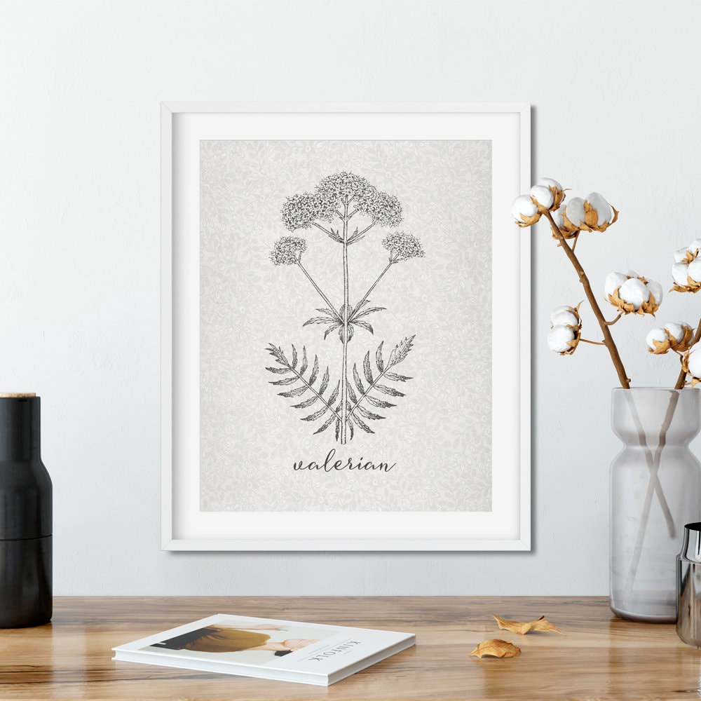 Etsy Botanical Printables