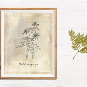 Set of 6 Botanical Printables Botanical Art Farmhouse Art | Etsy