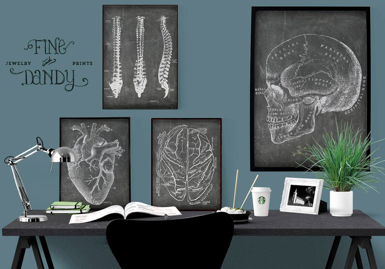 SET of 4 Doctor's Office Art Anatomical Heart Print Etsy
