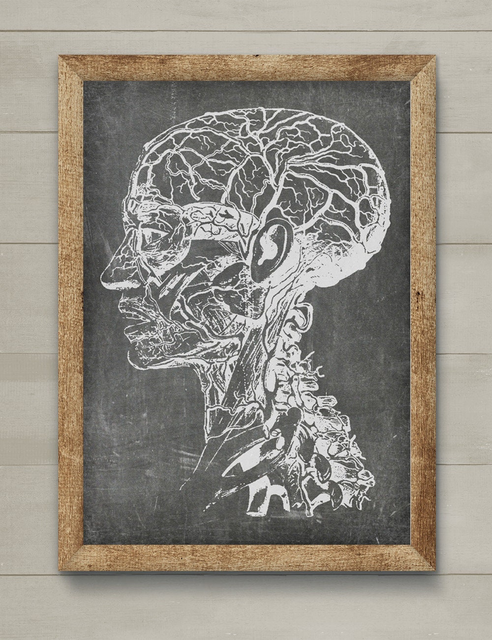 SET of 4 Doctor's Office Art Anatomical Printables Etsy