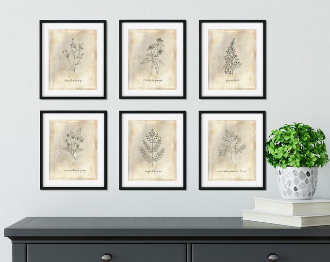 Set of 6 Botanical Printables, Botanical Art, Farmhouse Art, Botanical ...