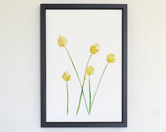 Impressão artística em aquarela floral de Craspedia – Botões-de-Billy amarelos (Download digital)