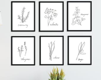 Herb Prints, Black and White Kitchen Decor, Botanical Illustration, Black and White Herb Printable, Print set of 6, Kitchen Prints wall art