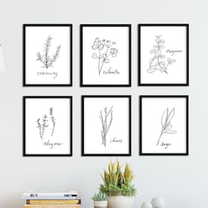 Herb Prints, Black and White Kitchen Decor, Botanical Illustration, Black and White Herb Printable, Print set of 6, Kitchen Prints wall art