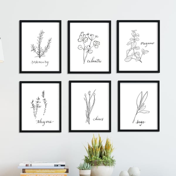 Set of 6 Herb Prints, Black and White Kitchen Printable Art, Botanical Illustration, 8 x 10 Digital Download, Kitchen wall art, hand drawn
