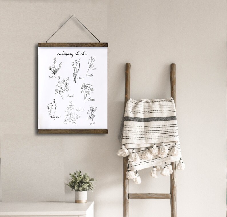 Culinary Herb Chart, Kitchen Wall Decor, Botanical Illustration