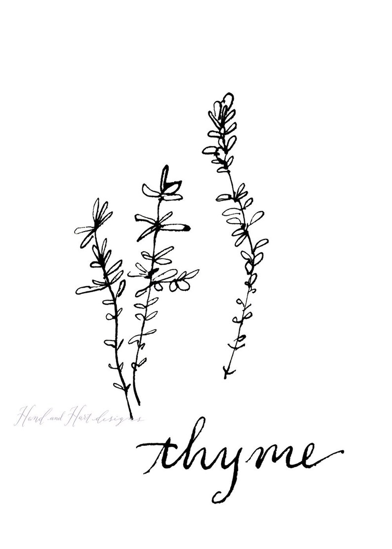 Herb Prints Black and White Kitchen Decor Botanical Etsy