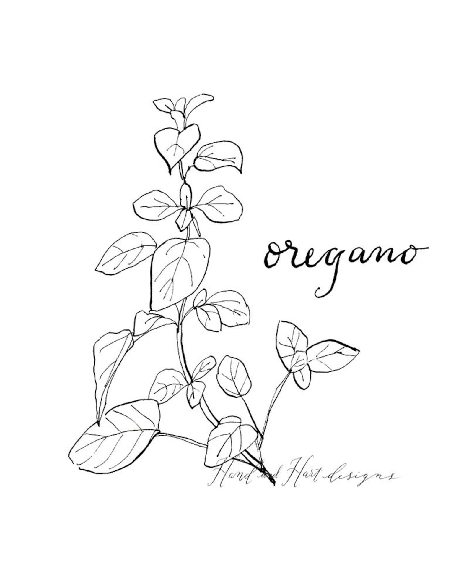 Herb Prints Black and White Kitchen Decor Botanical - Etsy
