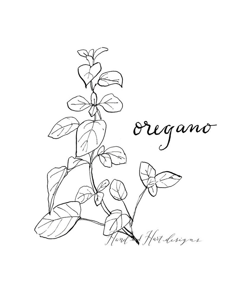 Herb Prints Black and White Kitchen Decor Botanical Etsy