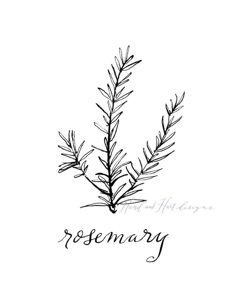 Herb Prints Black and White Kitchen Decor Botanical Etsy
