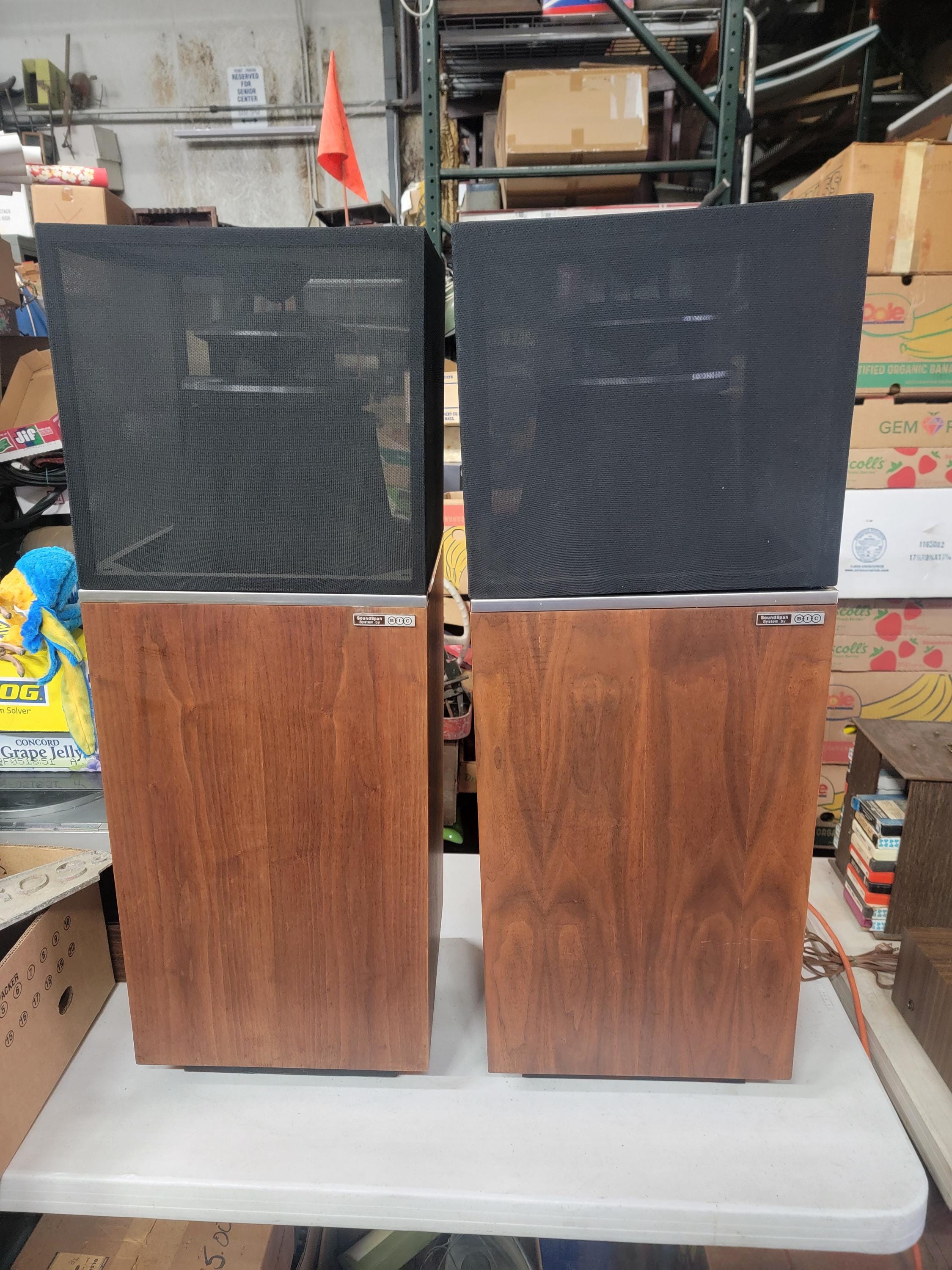Vintage 1970's BIC TPR 600 Soundspan Speakers - Tested & Working