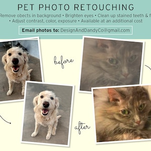 May include: Before and after photos of a dog and a cat. The photos show the difference in the quality of the images after pet photo retouching. The retouched photos have brighter eyes, cleaner teeth, and a more polished look.