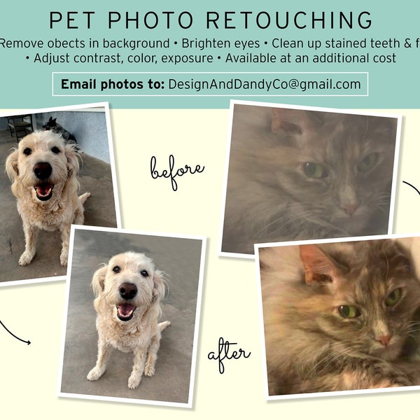 Pet Photo Retouching, Dog Photography Retouching, Pet Portrait Retouching for Cat, Remove Background in Dog Photo, Remove Object in Photo