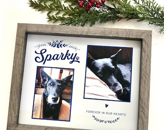 Marco de sombra personalizado para mascotas: Recuerdo de perros y gatos