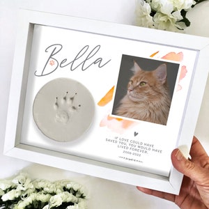 Pet Memorial Paw Print Holder Shadow Box, Pet Loss Frame, Clay Paw Display, Custom Pet Keepsake, Pet Memory Gift, Cat Dog Loss, Watercolor