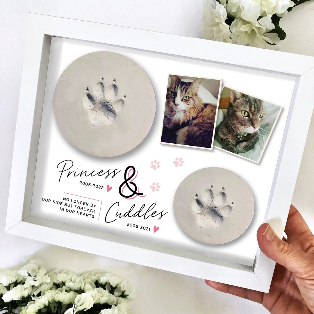 Pet Memorial Double Paw Print Holder Shadow Box Pet Loss Frame Clay Paw Print Display Custom Pet