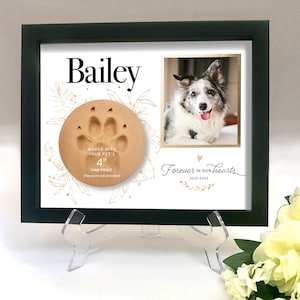 Pet Memorial Frame, Paw Print Display, Pet Memorial Paw Print Holder, Pet Loss Frame, Custom Pet Memorial, Cat Dog Loss, Shadow Box, Gold