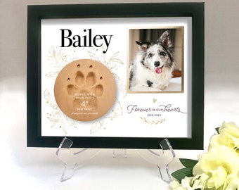 Pet Memorial Frame, Paw Print Display, Pet Memorial Paw Print Holder, Pet Loss Frame, Custom Pet Memorial, Cat Dog Loss, Shadow Box, Gold