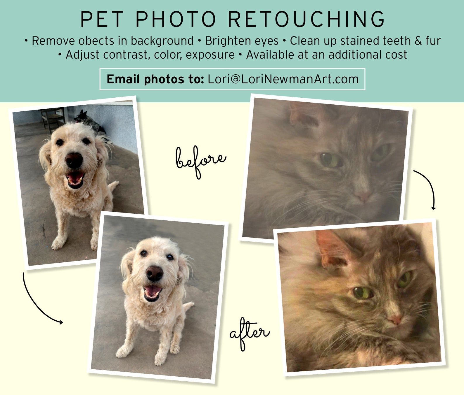 Pet Memorial Paw Print Holder Shadow Box Two Paw Prints Pet Etsy