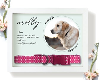 Caja de sombras conmemorativa para mascotas con soporte para collar: regalo personalizado para la pérdida de una mascota, ya sea gato o perro