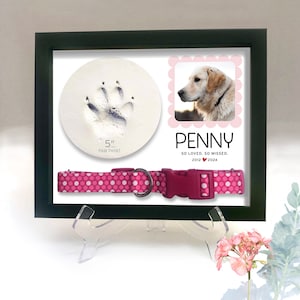 May include: A framed memorial for a dog named Penny. The frame includes a 5-inch paw print, a photo of Penny, a pink collar with white polka dots, and the text "Penny, So Loved, So Missed, 2012-2024".