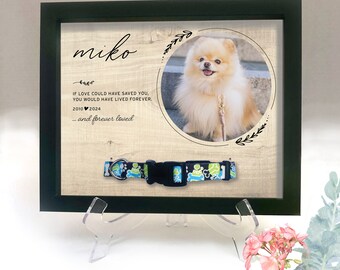 Caja de sombras conmemorativa para collar de mascota: recuerdo fotográfico personalizado