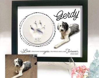 Caja de sombras conmemorativa para mascotas: Marco de caja de sombras con huella de pata y borde de puntos