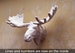 Make Your Own Moose Sculpture. | Papercraft Moose | Papercraft Sculpture | Papercraft Animals | Wild Animals | Bullwinkle | Moose | Alaska 