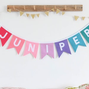 Pink and Purple Custom name bunting Personalised  nursery banner Children&#39;s room decor New baby gift Birthday party decor