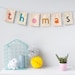 Personalised Bunting Name garland Felt bunting Personalised banner Name bunting Nursery banner Letter bunting Nursery decor Newborn gift 