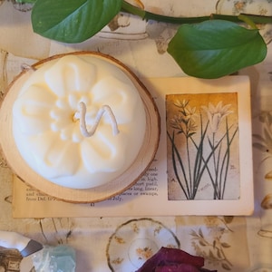 May include: A cream-colored, floral-shaped candle sits on a wooden slice, next to a vintage botanical print. A decorative white horse figurine and dried rose are also present. The background features a patterned fabric with botanical illustrations.