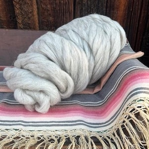 Navajo Churro Schaf Pindraft Roving - &quot;Brando&quot; 1 Pfund - 2025-J3 Weisser Sand Farbe