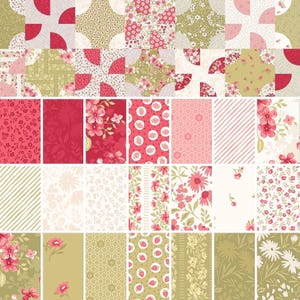 Paquete de retazos de tela precortados de algodón Elizabeth para patchwork, tela floral para coser, 21 retazos. imagen 7