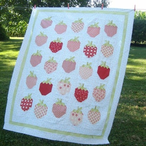 Strawberry Social Quilt Pattern by Margot Languedoc Designs for The Pattern Basket, quilting and sewing instruction booklet, not a pdf