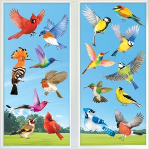 May include: A colourful illustration of various birds against a blue sky background. The image features a diverse array of colourful birds, including cardinals, bluebirds, hummingbirds, and others, with wings spread in flight or perched.