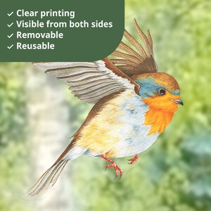 DECOWALL Stickers Fenêtre Anti-Collision Oiseaux - Autocollants Electrostatiques Décoratifs